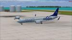 FSX Boeing 737-800 Sky Team  14 Livery Textures Pack